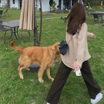 缱绻仙凡间粤语
