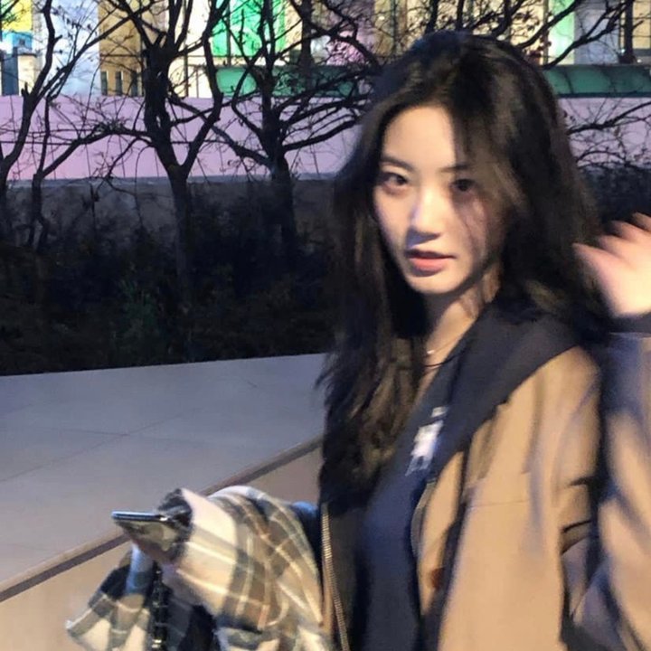 哈利,亲爱吾友